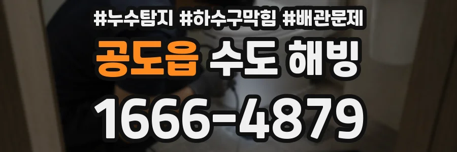 공도읍 수도 해빙