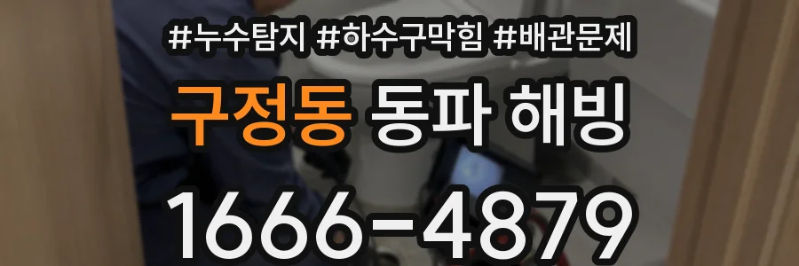 구정동 동파 해빙