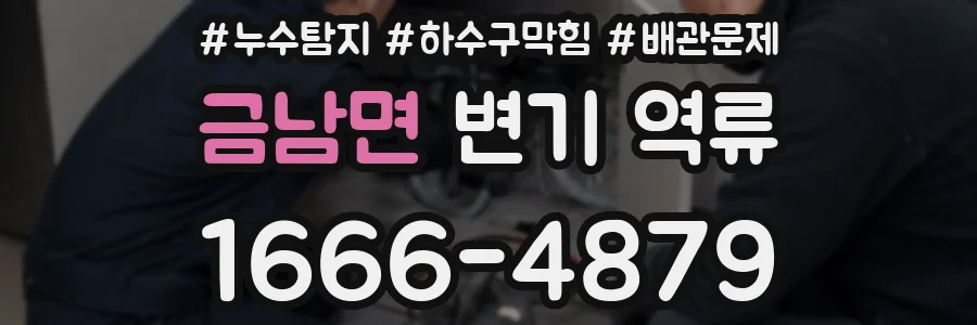 금남면 변기 역류