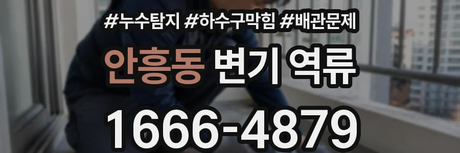 안흥동 변기 역류