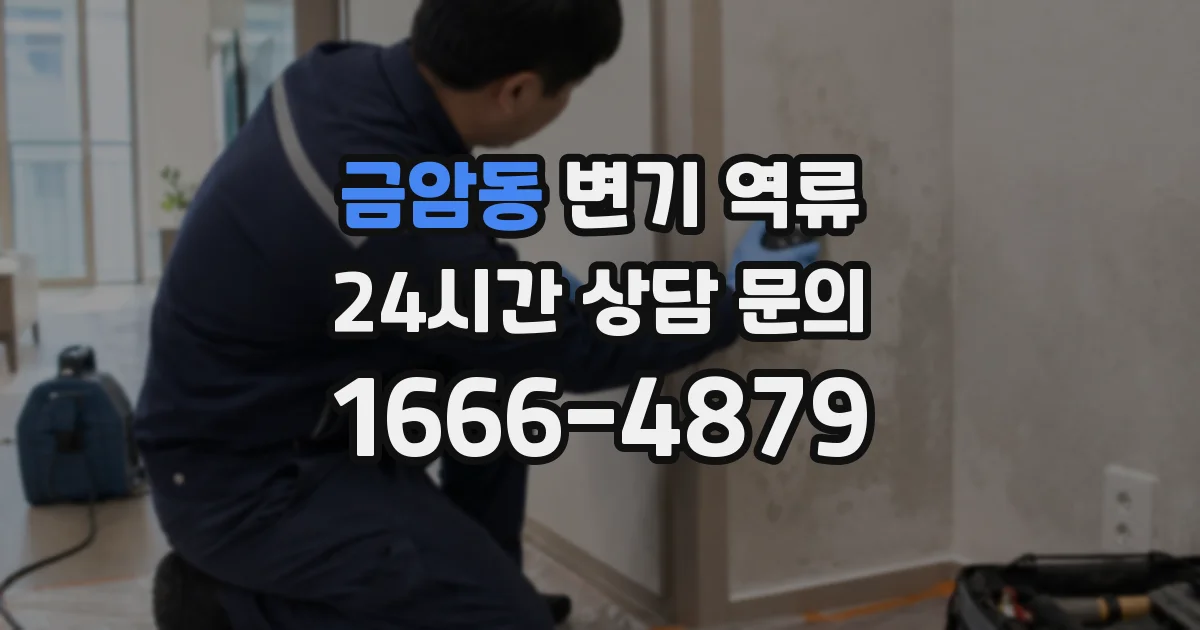 금암동 변기 역류