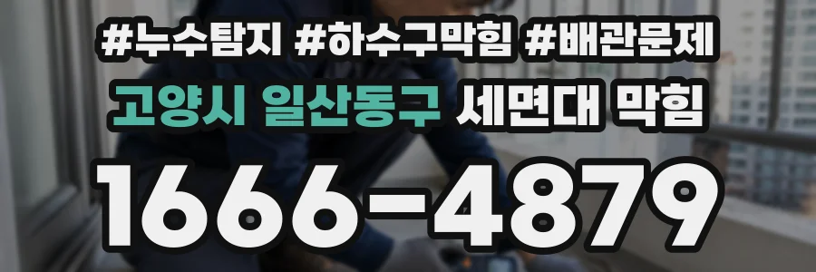 고양시 일산동구 세면대 막힘