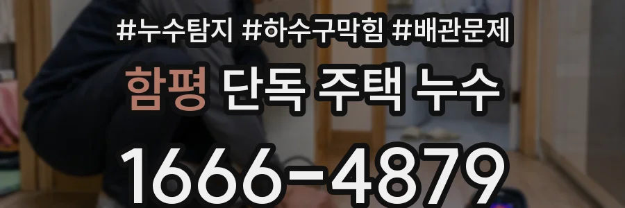 함평 단독 주택 누수