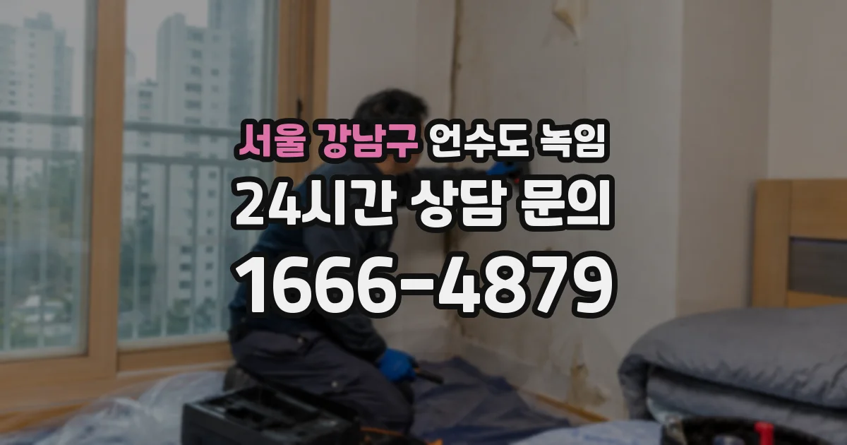 서울 강남구 언수도 녹임