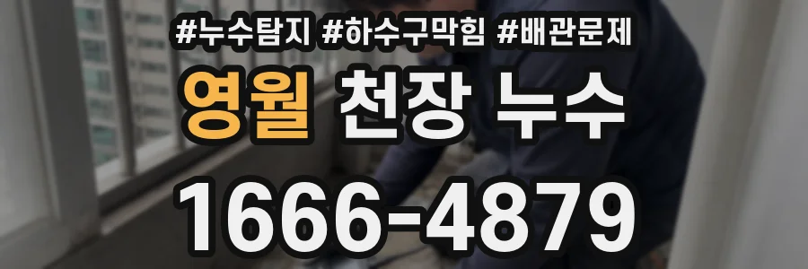 영월 천장 누수