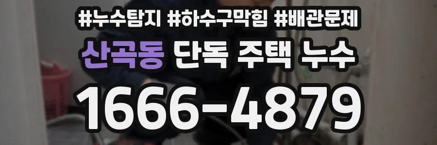 산곡동 단독 주택 누수