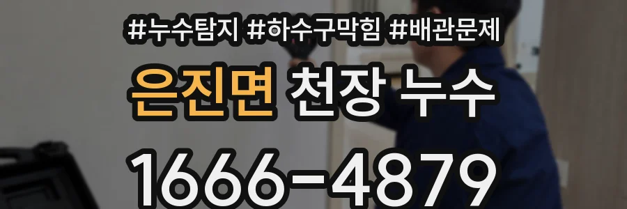 은진면 천장 누수
