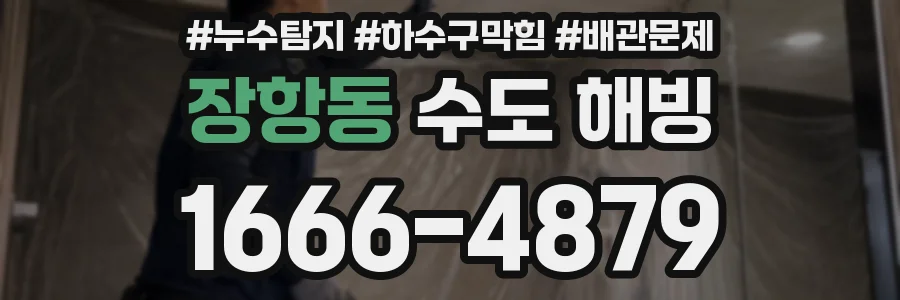 장항동 수도 해빙