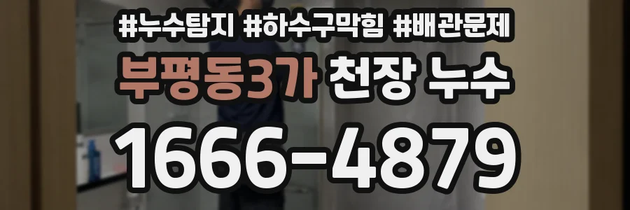 부평동3가 천장 누수