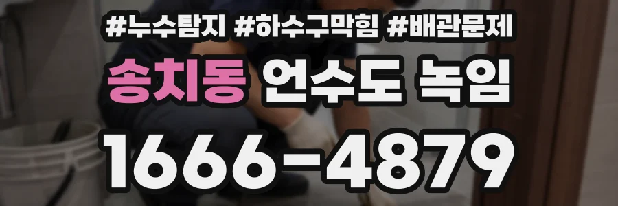 송치동 언수도 녹임