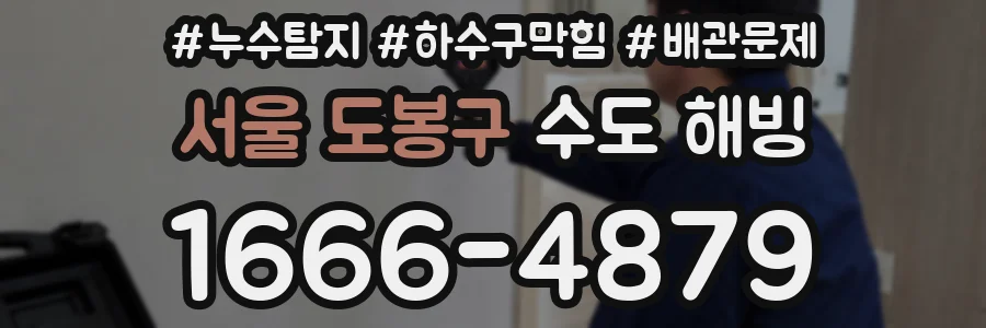 서울 도봉구 수도 해빙