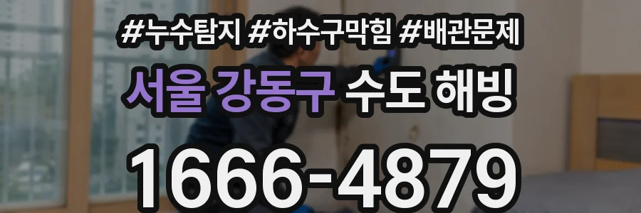 서울 강동구 수도 해빙