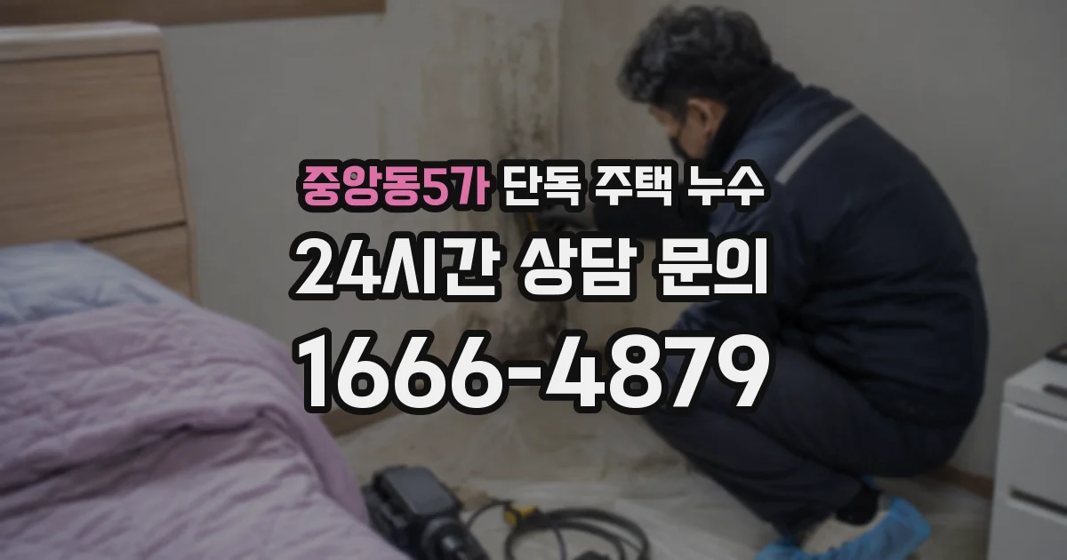 중앙동5가 단독 주택 누수