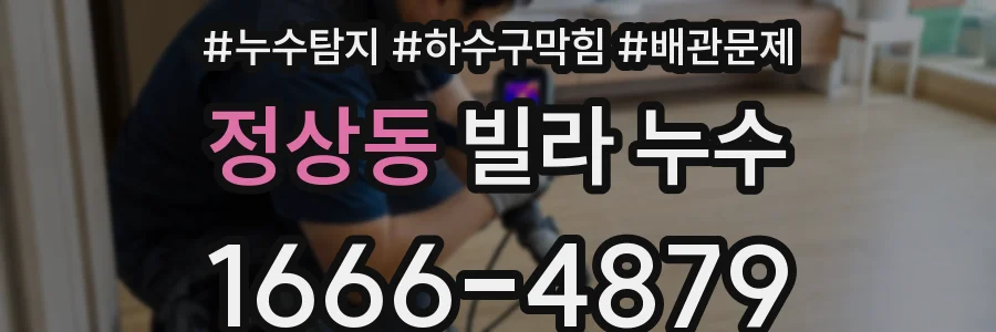 정상동 빌라 누수
