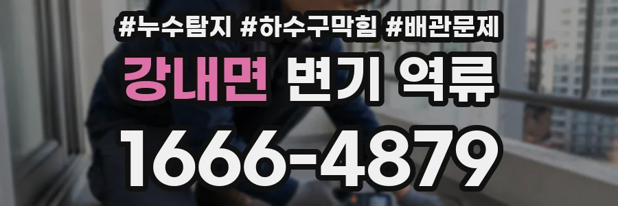 강내면 변기 역류