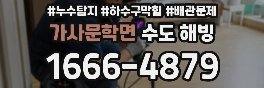 가사문학면 수도 해빙