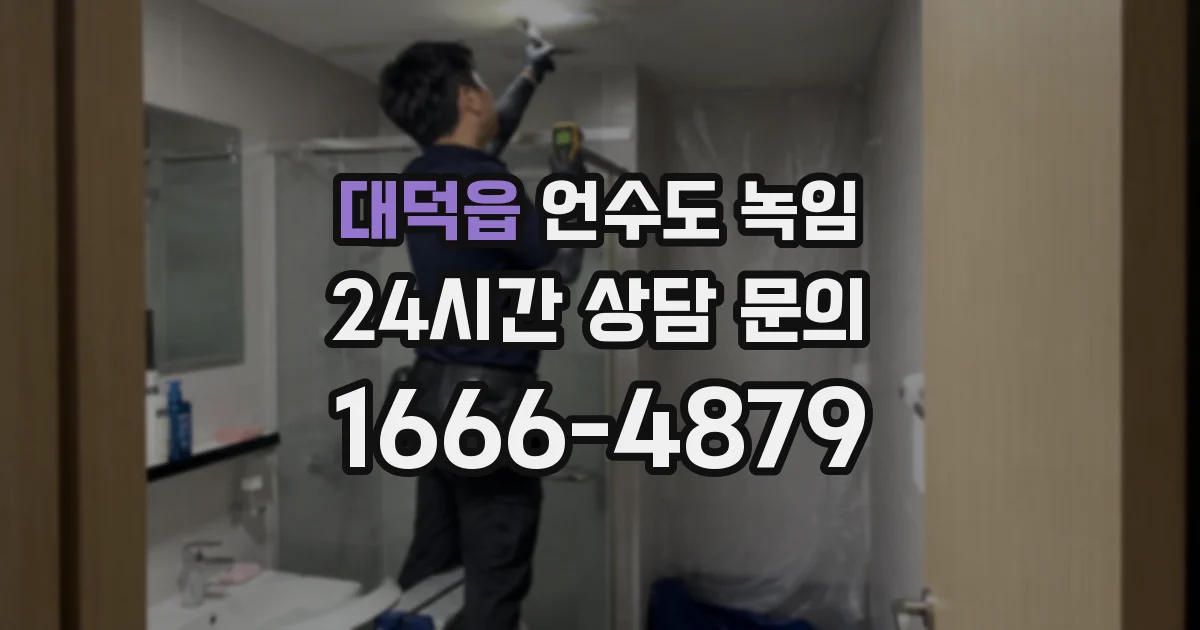 대덕읍 언수도 녹임