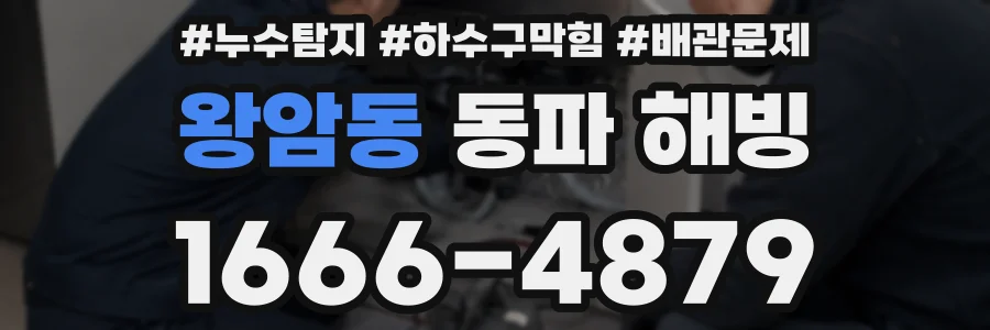 왕암동 동파 해빙
