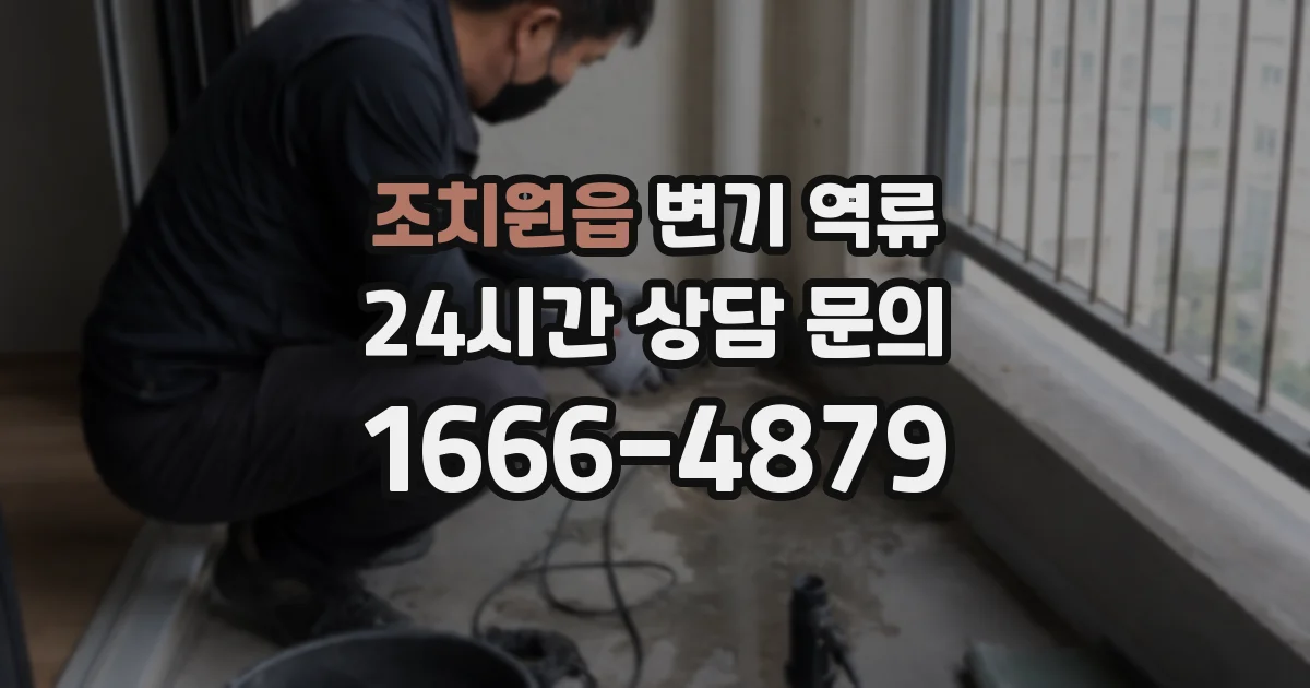 조치원읍 변기 역류