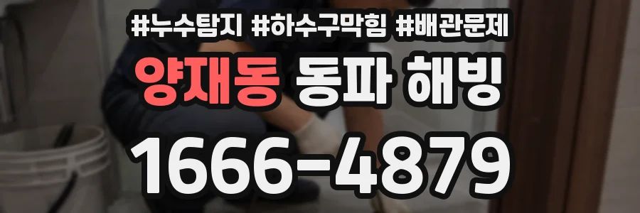 양재동 동파 해빙