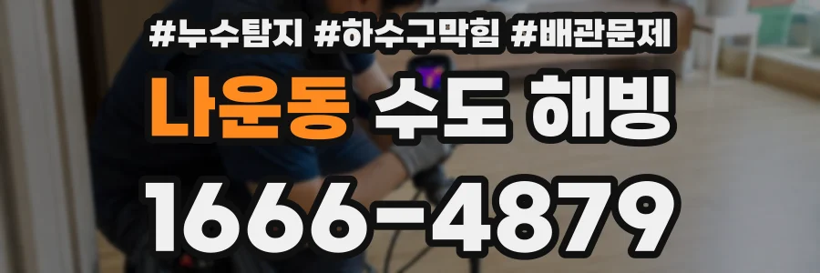 나운동 수도 해빙