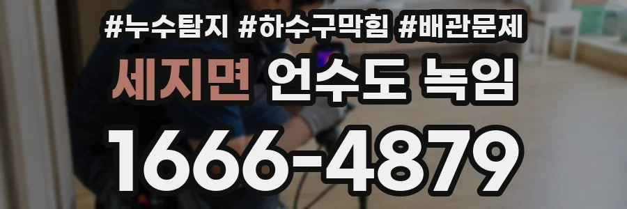 세지면 언수도 녹임