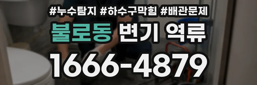 불로동 변기 역류