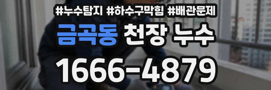 금곡동 천장 누수