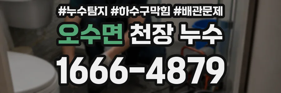 오수면 천장 누수