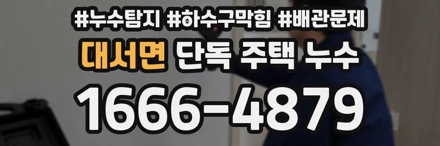 대서면 단독 주택 누수