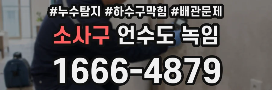소사구 언수도 녹임