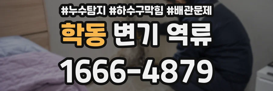 학동 변기 역류