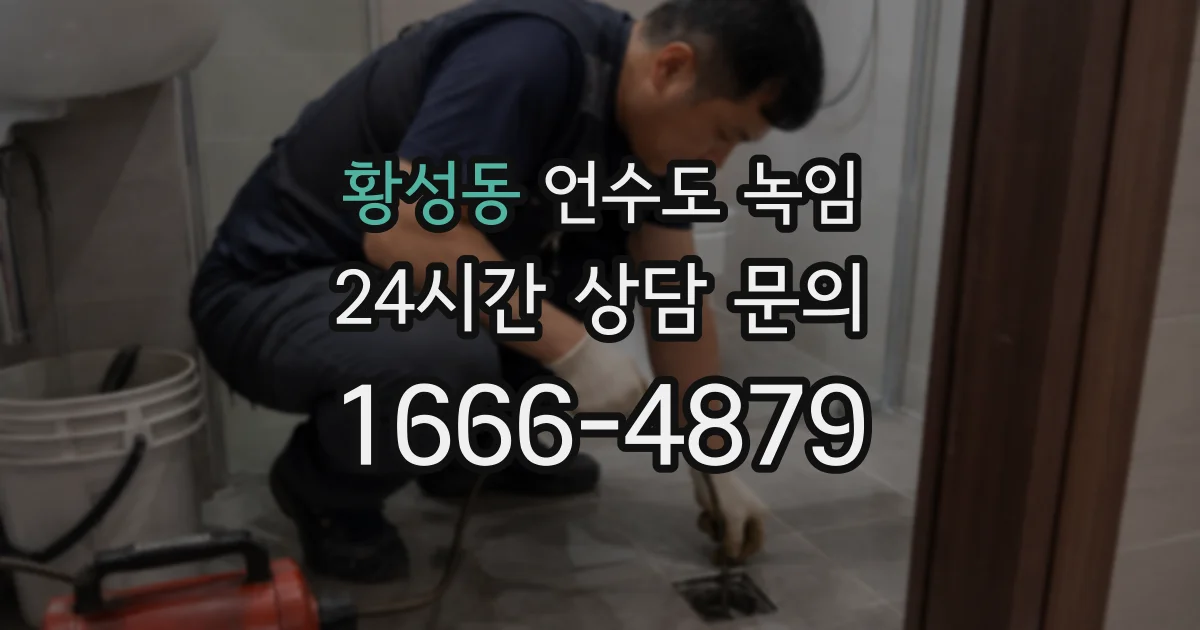 황성동 언수도 녹임
