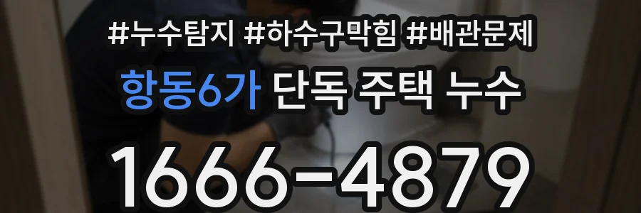 항동6가 단독 주택 누수