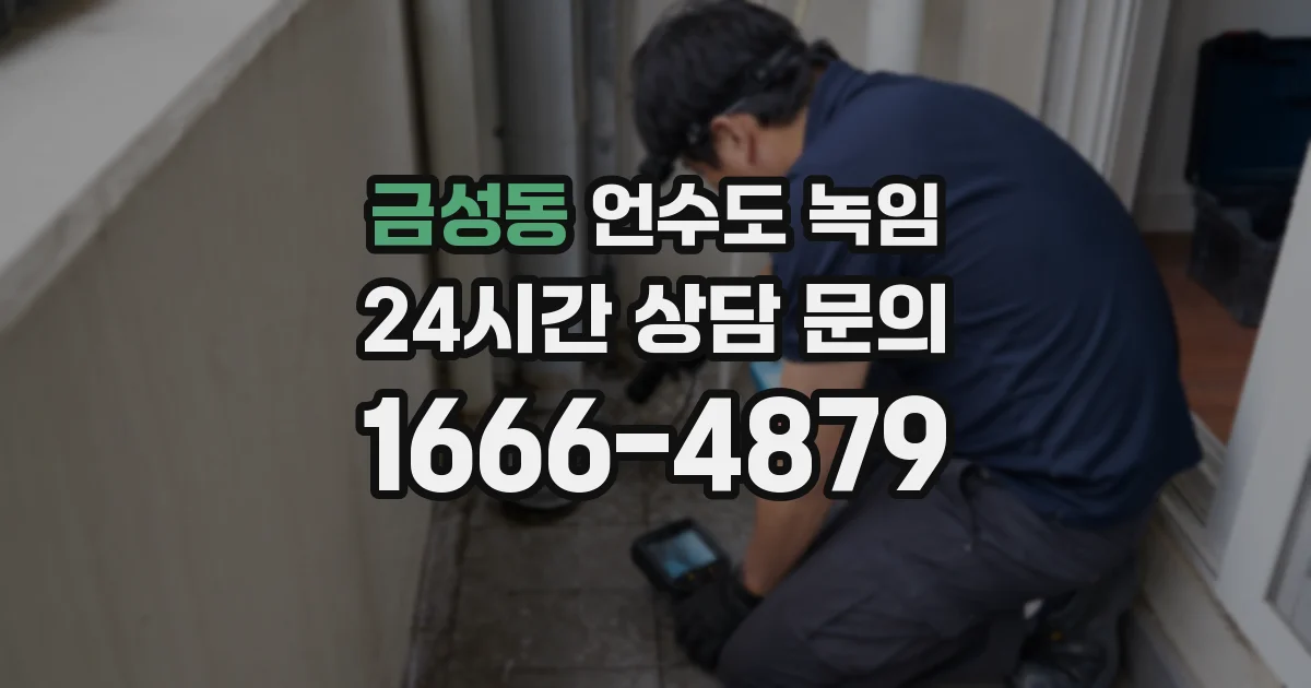 금성동 언수도 녹임