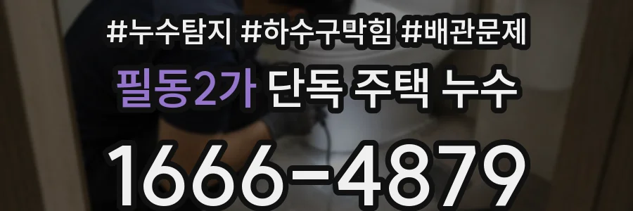 필동2가 단독 주택 누수