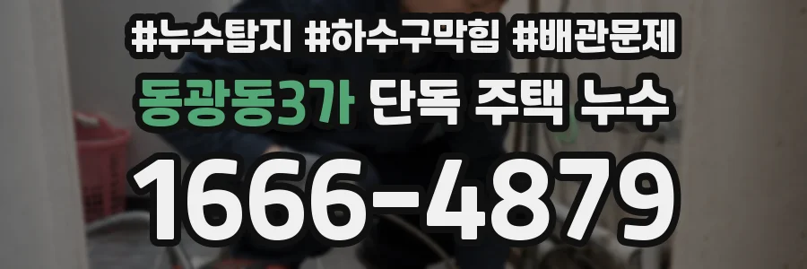 동광동3가 단독 주택 누수