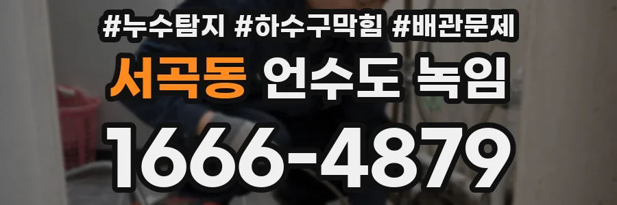 서곡동 언수도 녹임