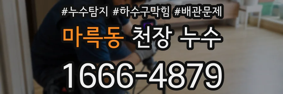 마륵동 천장 누수