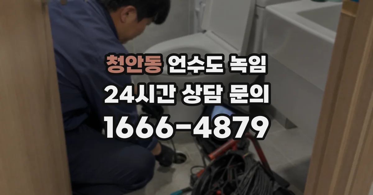 청안동 언수도 녹임
