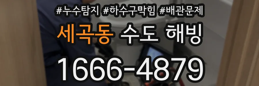 세곡동 수도 해빙