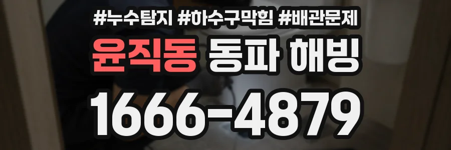 윤직동 동파 해빙