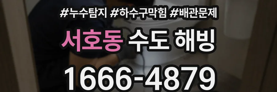 서호동 수도 해빙