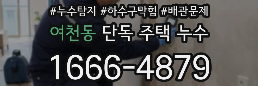 여천동 단독 주택 누수