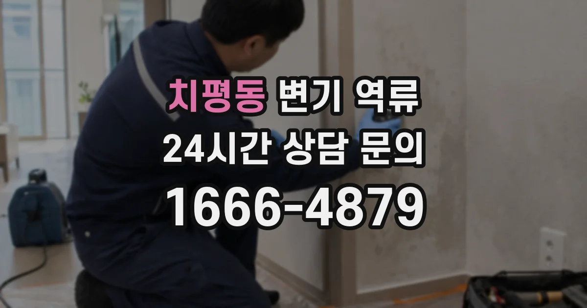치평동 변기 역류