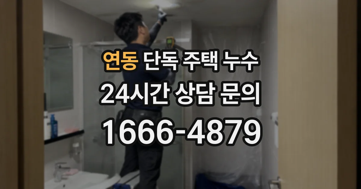 연동 단독 주택 누수