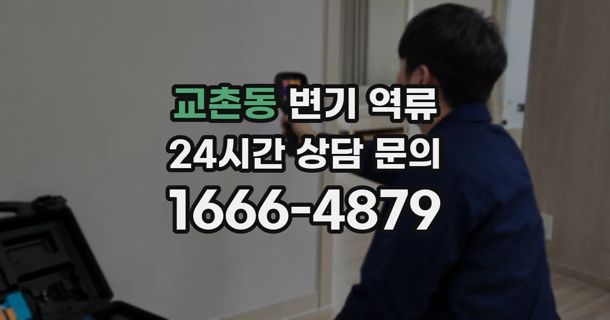 교촌동 변기 역류