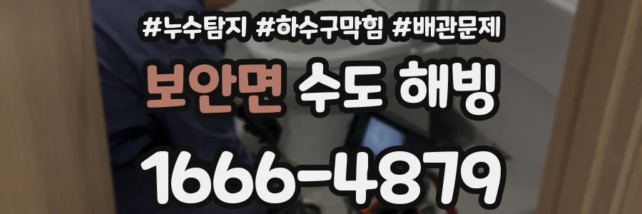 보안면 수도 해빙