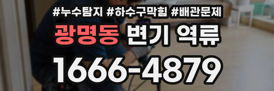 광명동 변기 역류