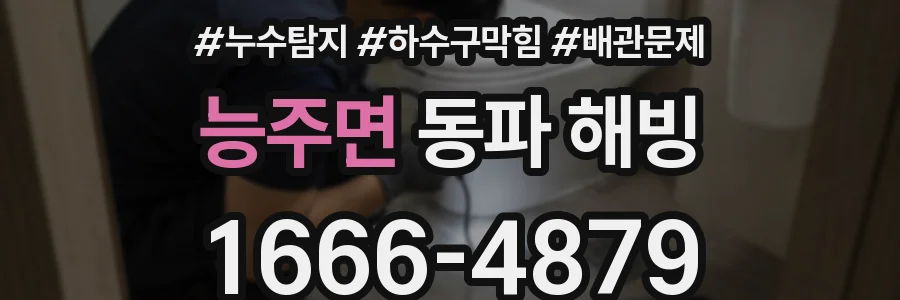 능주면 동파 해빙